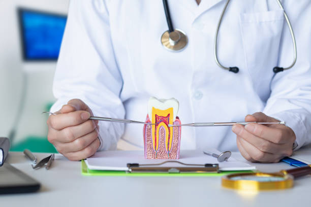 Best After-Hours Emergency Dentist in Bayboro, NC